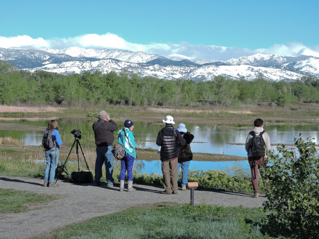 Boulder Flying Circus Birders enjoying a bird walk at Walden Ponds.